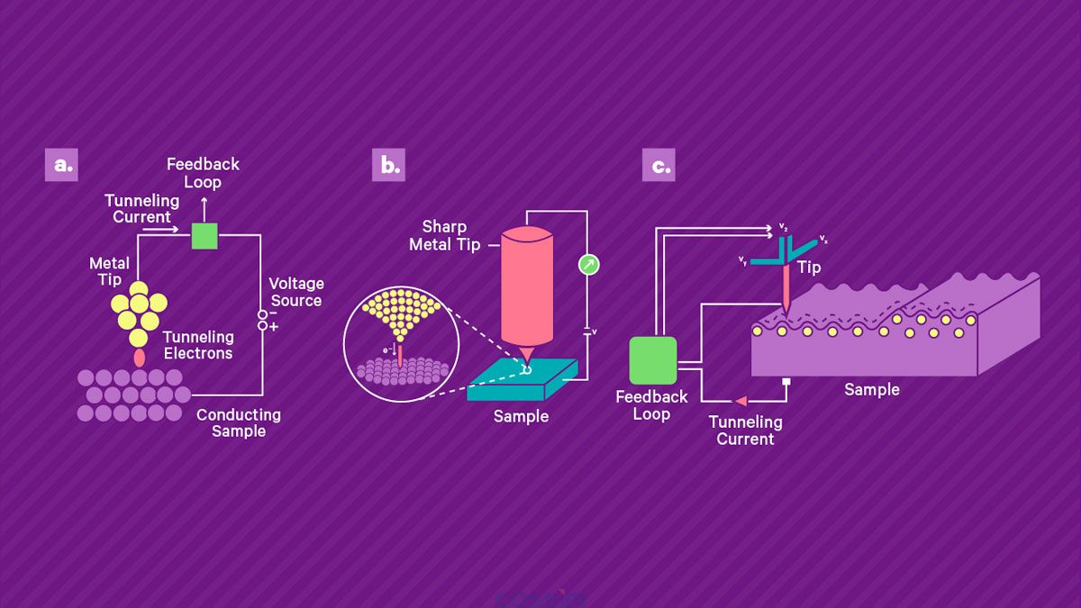 掃描隧道顯微鏡的工作原理。 a) 將鋒利的導(dǎo)電尖端靠近導(dǎo)電樣品表面并施加偏置電壓，從而產(chǎn)生穿過間隙的小隧道電流。 該電流由高增益放大器讀出。 b) 壓電掃描系統(tǒng)用于控制尖端與表面的分離并在表面上掃描尖端。 當(dāng)尖端保持在恒定高度時(shí)，電流幅度可用作尖端表面分離的直接測(cè)量，從而實(shí)現(xiàn)地形成像。 或者，可以使用反饋回路通過改變定位系統(tǒng)的控制電壓來保持恒定電流，該控制電壓被記錄下來并產(chǎn)生樣品上的形貌和電子密度的測(cè)量值。