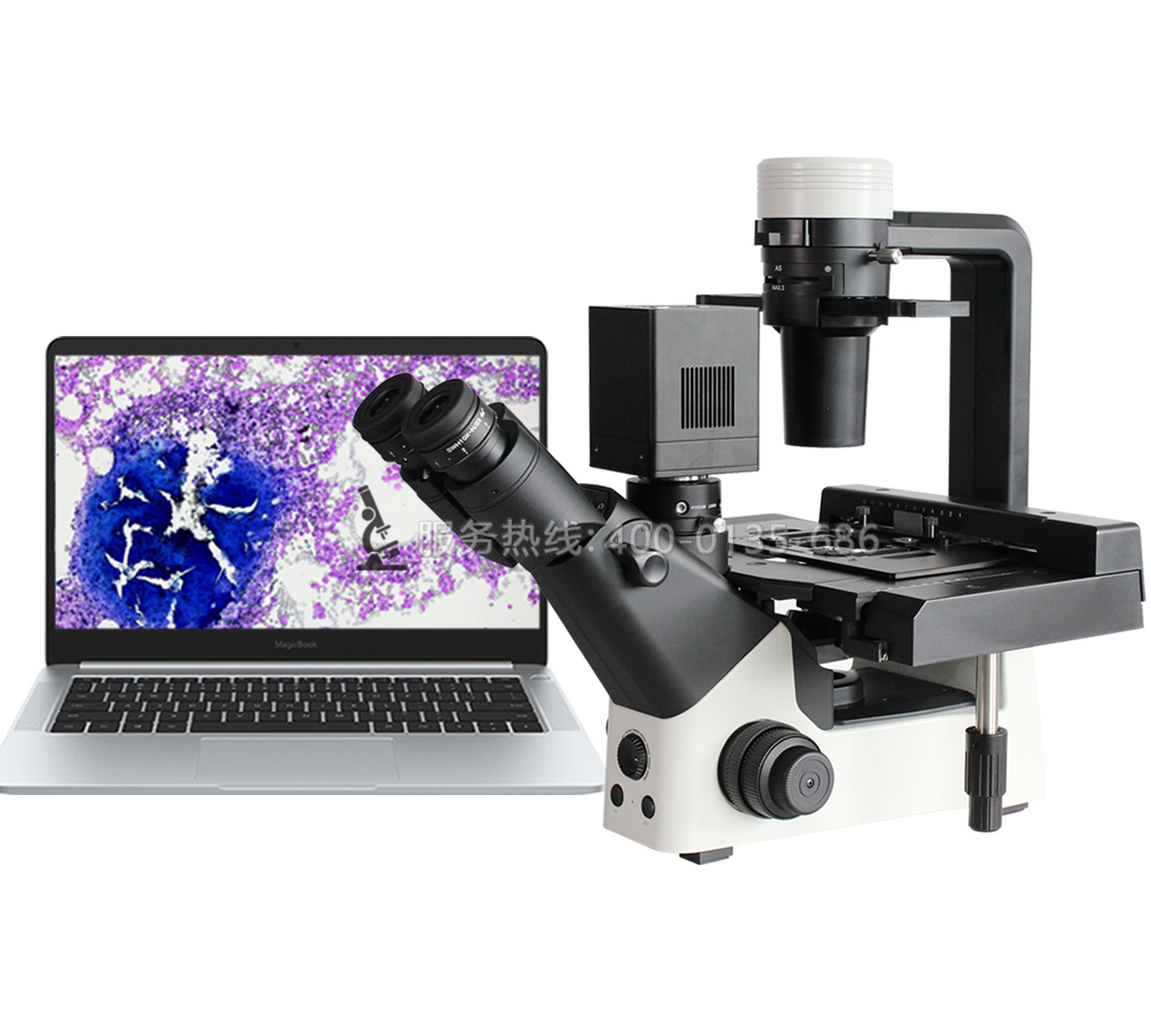 BLD-330PH科研級(jí)三目倒置相襯生物顯微鏡