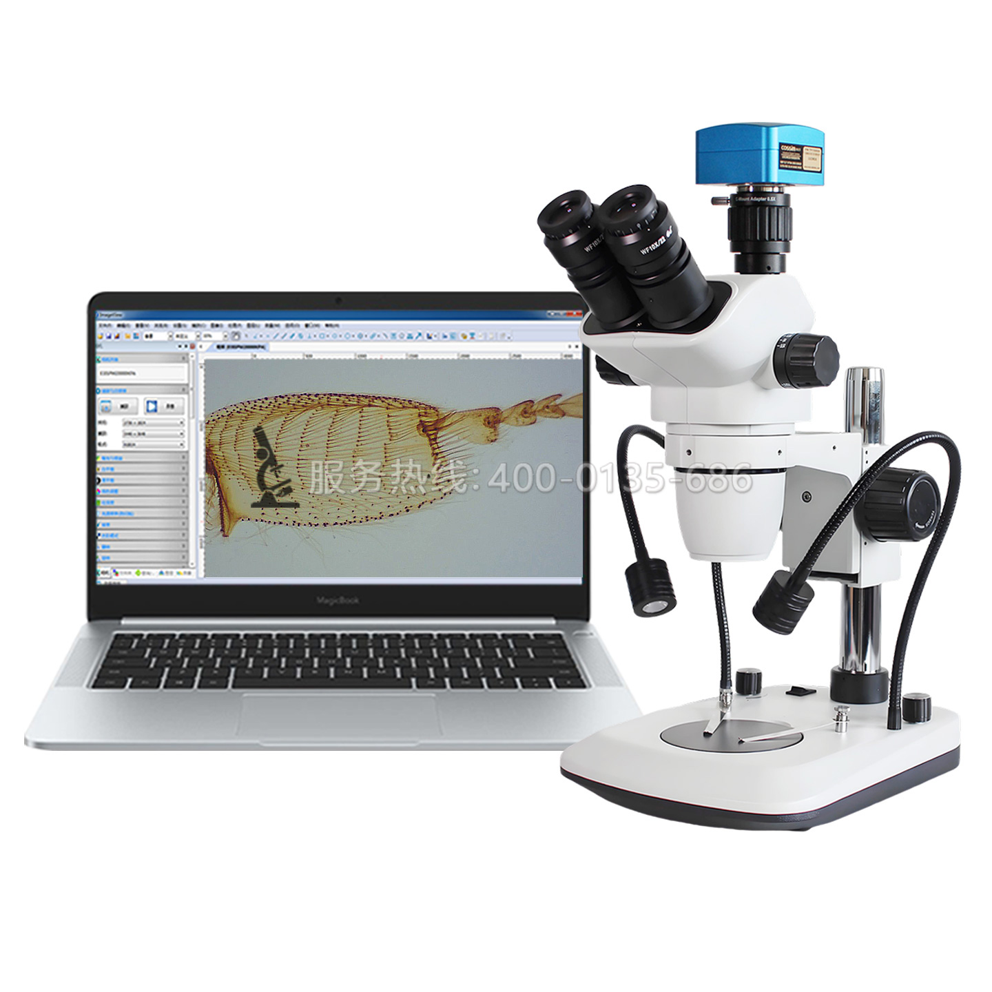 SRG-6555A三目雙側(cè)光源體視顯微鏡手機(jī)維修生物解剖